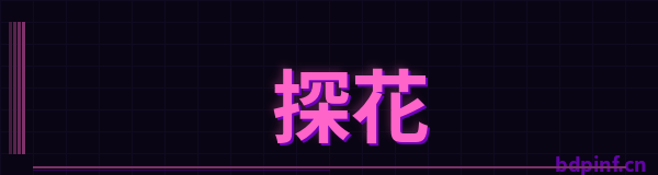 探花品牌Logo
